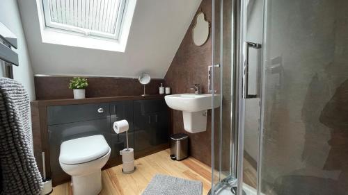 a bathroom with a toilet and a sink and a shower at Chapel row 4 in Wirksworth