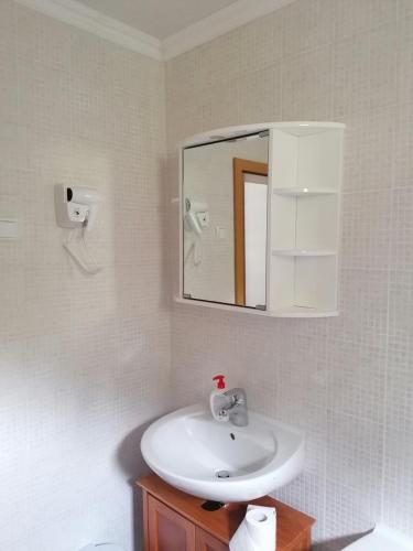 a bathroom with a sink and a mirror at Villa Green Heaven in Sarajevo