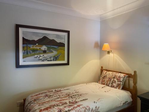 Apartment 447 - Ballynahinch في Ballynahinch: غرفة نوم بسرير ودهان على الحائط
