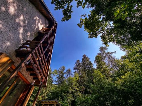 a view from the outside of a building with trees at Jakob Cabin in Bovec