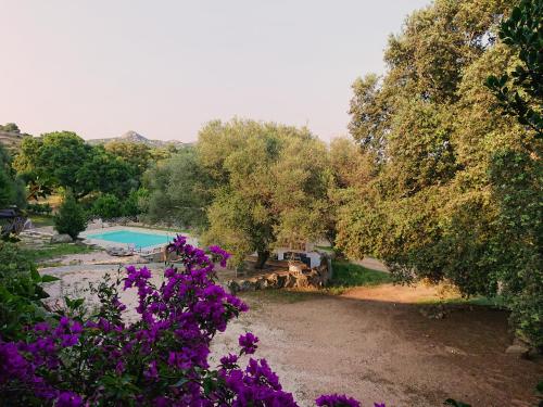 a garden with a swimming pool and purple flowers at Agriturismo Desole in Monti