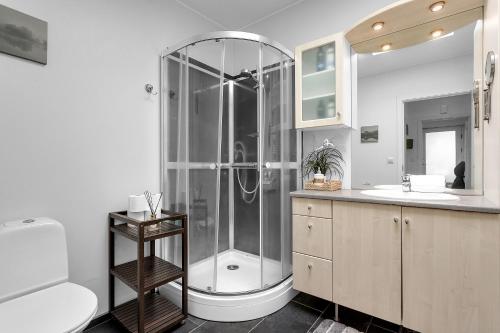 a bathroom with a shower and a sink at Baron Downtown Apartments in Reykjavík