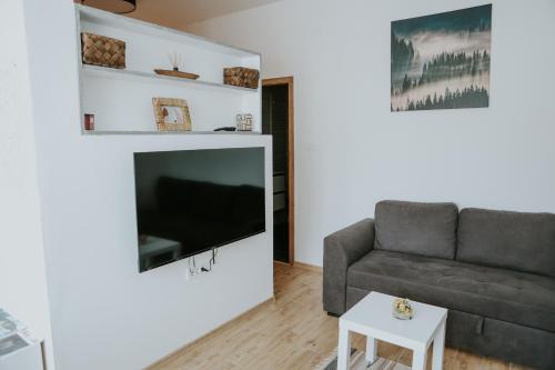 a living room with a couch and a flat screen tv at Apartman Nikola in Gospić