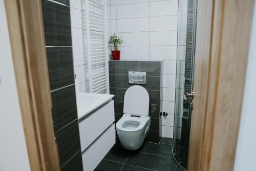 a small bathroom with a toilet and a sink at Apartman Nikola in Gospić