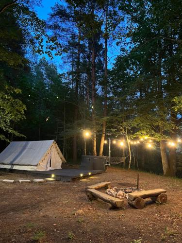 a tent in a field at night with lights at Glempings Jaunsaimnieki in Līgatne