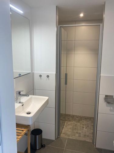 a bathroom with a sink and a shower at Obstbau Apartment am See in Lindau