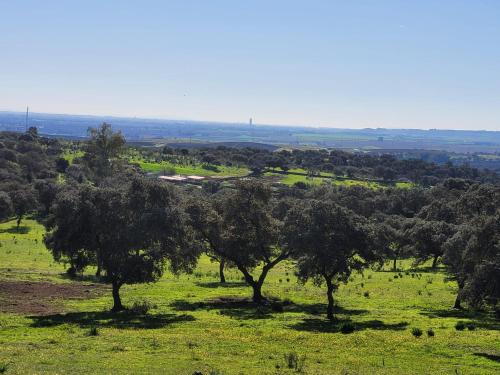 Alojamiento Rural Finca Barral photo 136