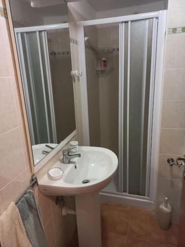 une salle de bain avec un lavabo et une douche avec un miroir dans l'établissement Appartement de vacances Marine de Bravone - Corse, à Linguizzetta