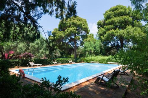 a swimming pool in a yard with trees at Ville Mirto in Santa Flavia