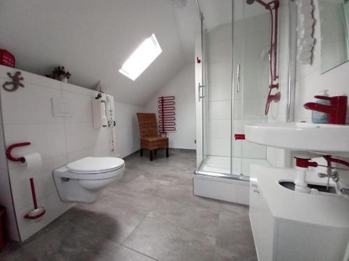 a bathroom with a toilet and a shower and a sink at Ferienwohnung im roten Haus, die Therme ist fußläufig in 350m zu erreichen in Bad Ems