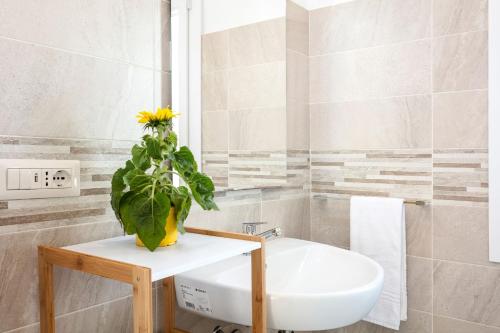 a bathroom with a sink and a plant on a counter at Sardegna è - New Rooms in Olbia