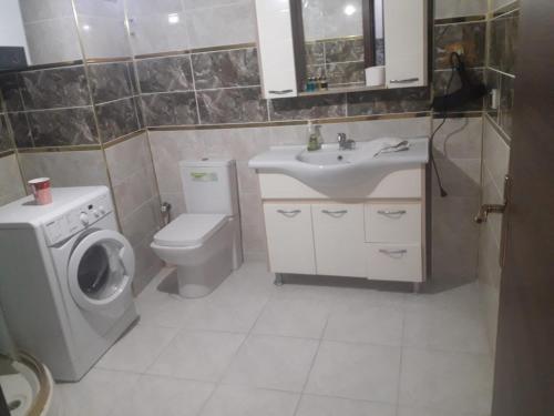 a bathroom with a toilet sink and a washing machine at Yenifoça taş ev in Foça