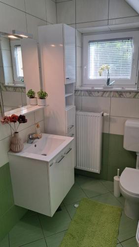 a white bathroom with a sink and a toilet at Vineyard cottage Na hribu in Dvor