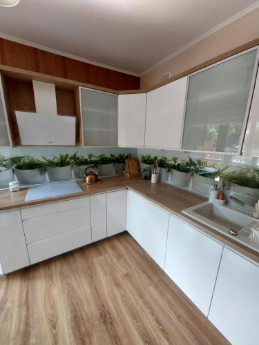 a kitchen with white cabinets and potted plants at Pokoje Gościnne ZYCH in Chochołów