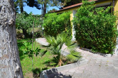 Ein Garten an der Unterkunft Residence Rendez Vous