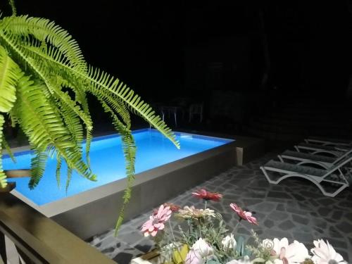 uma vista para uma piscina à noite em Family Hotel Lago & Wine Cellar em Lagodekhi