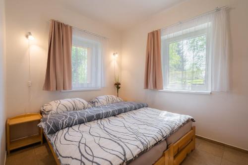 ein Schlafzimmer mit einem Bett und zwei Fenstern in der Unterkunft Apartments Nad Rybníky in Horní Planá