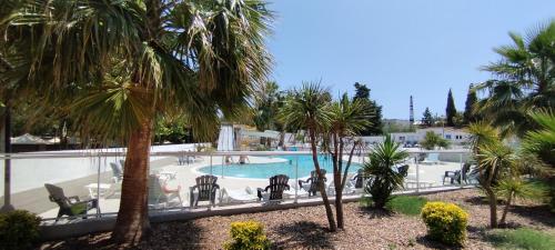 a view of a swimming pool with palm trees at Camping Parc des 7 Fonts in Agde