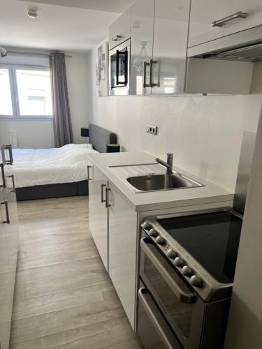 - une cuisine avec évier et un lit dans une chambre dans l'établissement Superbe appartement plein centre de Lyon, à Lyon