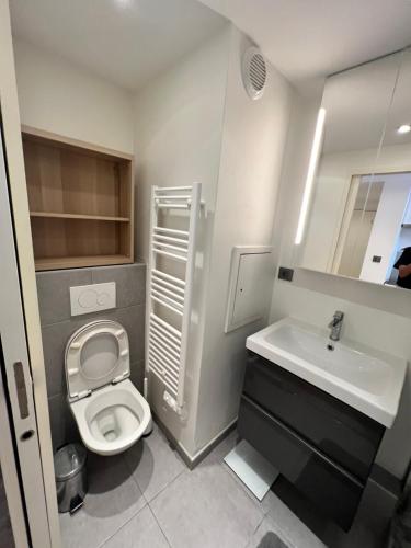 Superbe appartement plein centre de Lyon