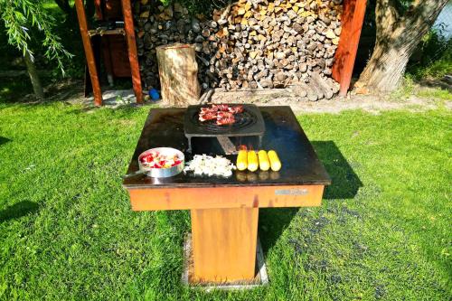a picnic table in the grass with food on it at Apartmány Nad rybníky in Horní Planá