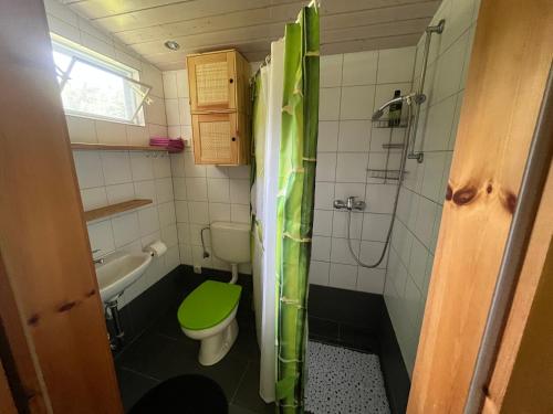 a small bathroom with a green toilet and a shower at Elfenhütte Ferienhaus Eifel in Rott