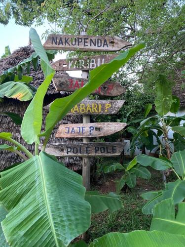 Gallery image of Baobab Africa Lodge Zanzibar in Mtende