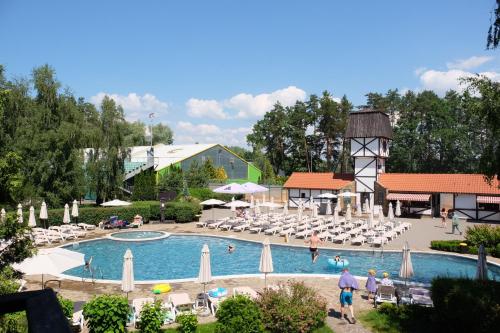 Πισίνα στο ή κοντά στο Hotel Selena Family Resort
