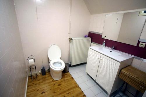 uma pequena casa de banho com WC e lavatório em Chambre d'hôte Blankenberge em Blankenberge