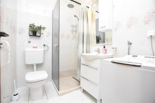 Apartments Dusan