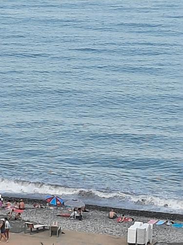 Gambar di galeri bagi APARTMENT 37 with a unique sea view in Batumi di Kakhaberi