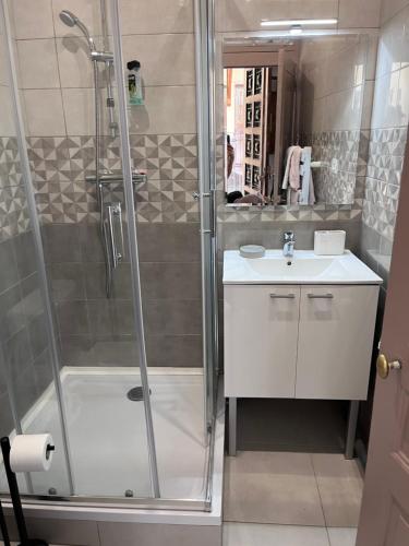 La salle de bains est pourvue d'une douche et d'un lavabo. dans l'établissement Tulipe21, à Dijon