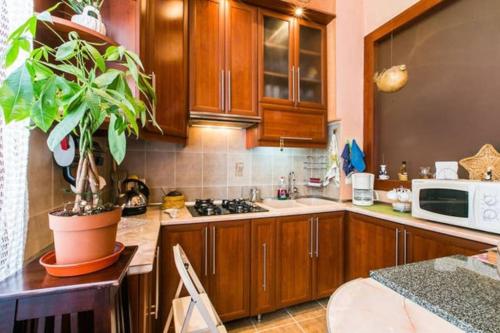 a kitchen with wooden cabinets and a potted plant at Уютная квартирка в центре Тбилиси! in Tbilisi City