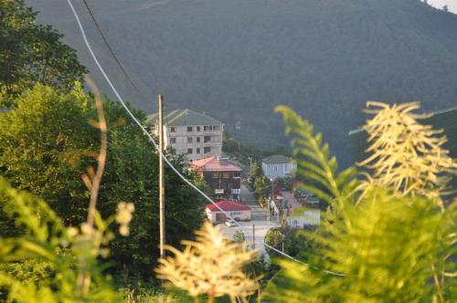 Paisaje cerca de este hotel