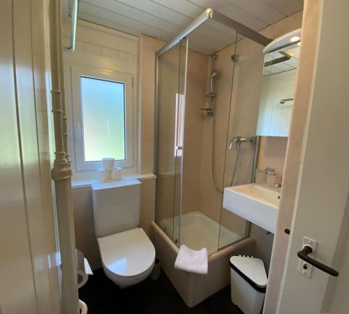a bathroom with a toilet and a shower and a sink at Chalet Schwarzsee by Arosa Holiday in Arosa