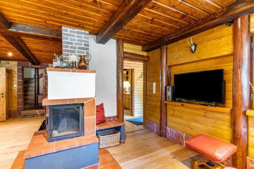 a living room with a fireplace and a flat screen tv at Blockhaus Günther und Brigitte Serr in Lauf