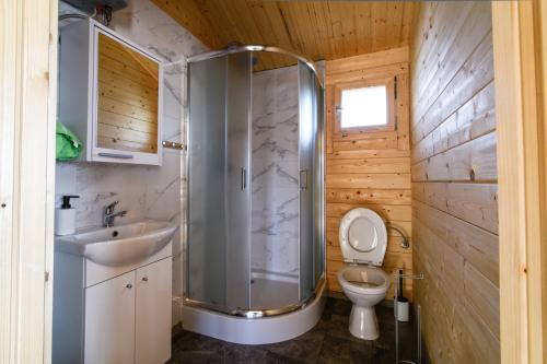 a bathroom with a shower with a toilet and a sink at słoneczny domek II in Kołczewo