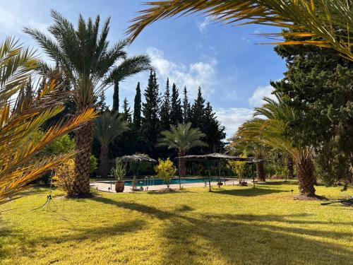 a park with palm trees and a swimming pool at Kasbah des cyprès in Skoura