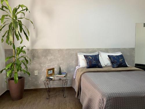 um quarto com uma cama e um vaso de plantas em Grey House em Foz do Iguaçu