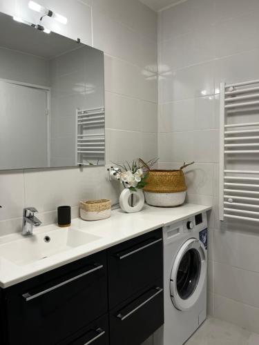 une salle de bain avec une machine à laver et un lavabo dans l'établissement Elegant apartment close to Croisette and Palais de Festival with garage, à Cannes