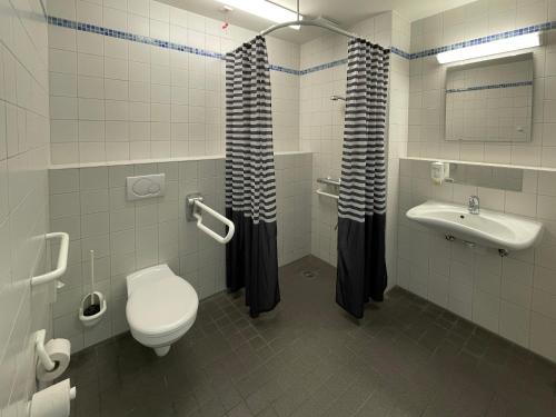 沃爾夫斯堡的住宿－Jugendherberge Wolfsburg，浴室设有卫生间、水槽和卫生间。