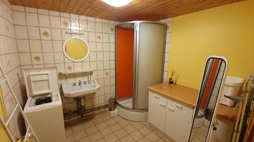 een kleine badkamer met een douche en een wastafel bij Rochesson - Le Chalet in Rochesson