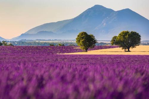 Φυσικό τοπίο κοντά σε αυτό το διαμέρισμα