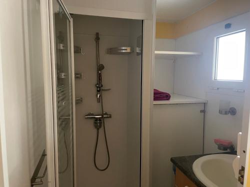 a bathroom with a shower and a sink at Mobilhome à Sainte Croix Du Verdon in Sainte-Croix-de-Verdon