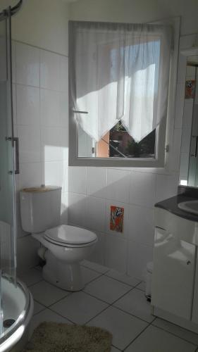 une salle de bain avec toilettes et fenêtre dans l'établissement GITE MAS URANIE, à Le Soler