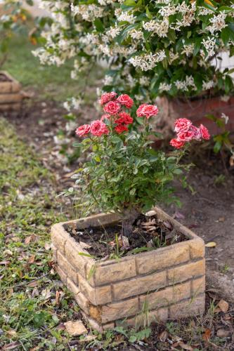 a bush of red flowers in a brick planter at The Olympus Estate in Litochoro