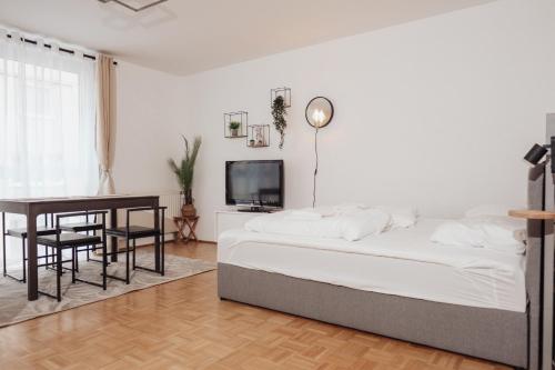 Buergerspitalgasse Zentrale Wohnung am Westbahnhof