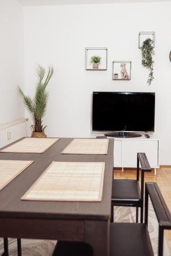 Buergerspitalgasse Zentrale Wohnung am Westbahnhof