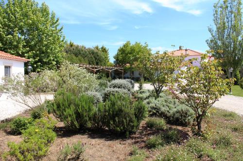 a garden with plants and trees in a yard at Casa de Campo Sao Rafael - Turismo Rural in Óbidos