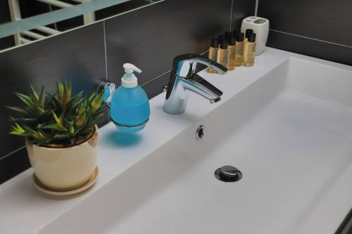 Imagen de la galería de Apartments Oeneus, en Račić